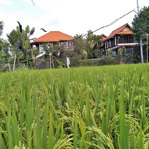 Umah Watu Seminyak (Bali)